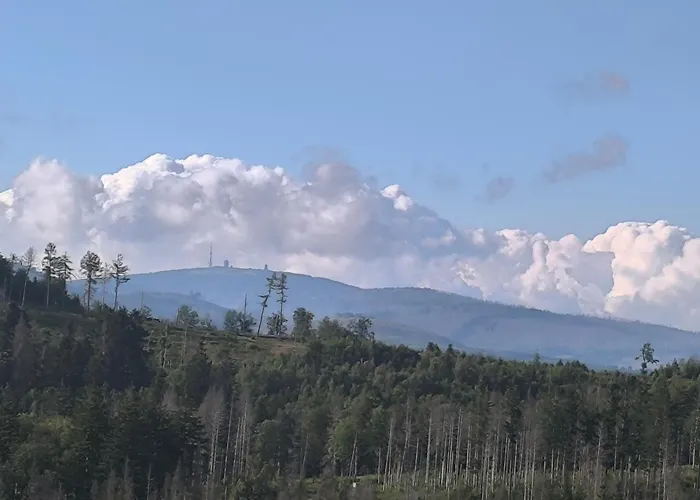 Waldperle Brockenblick Im Panoramic Oberharz