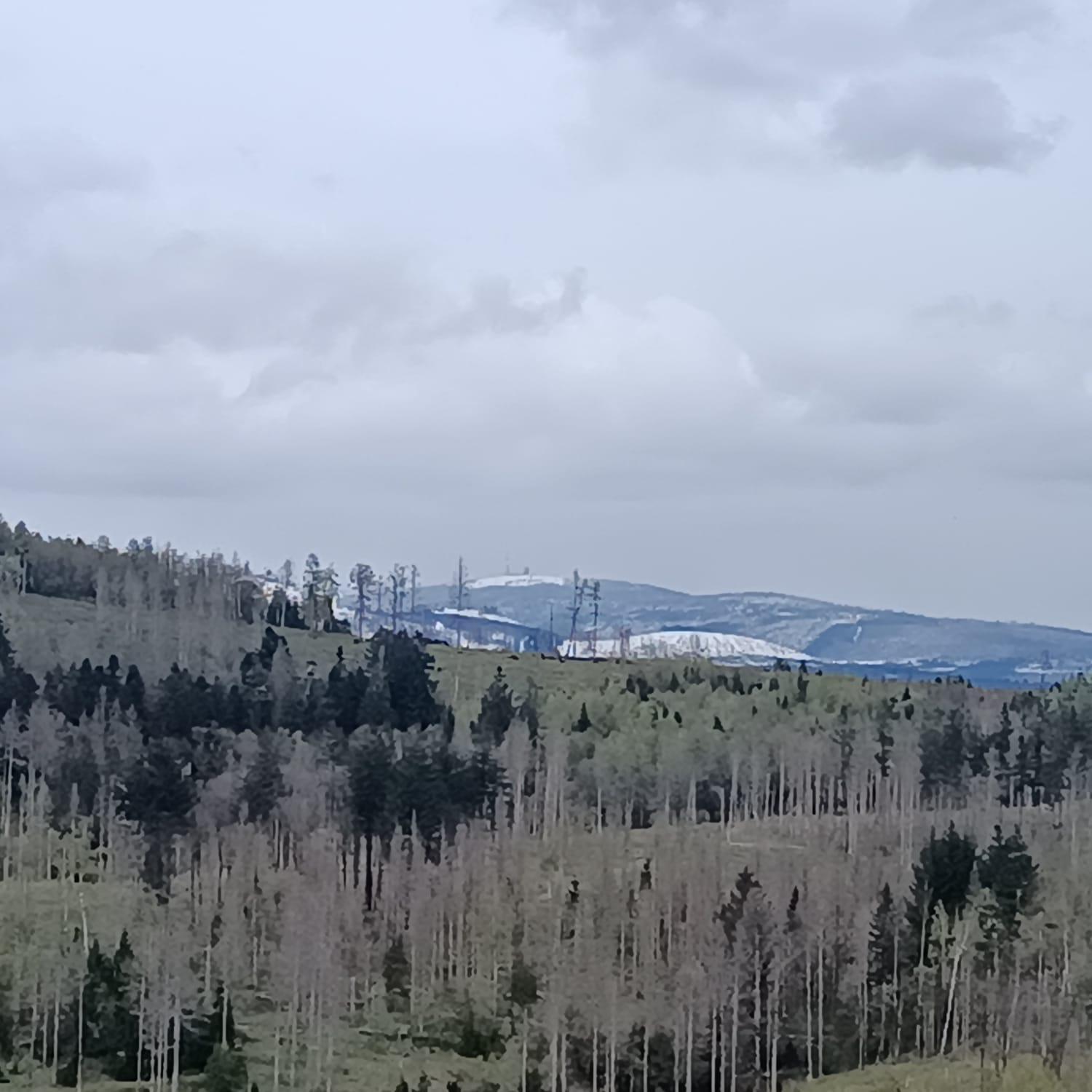 Waldperle Brockenblick Im Panoramic Oberharz * Braunlage