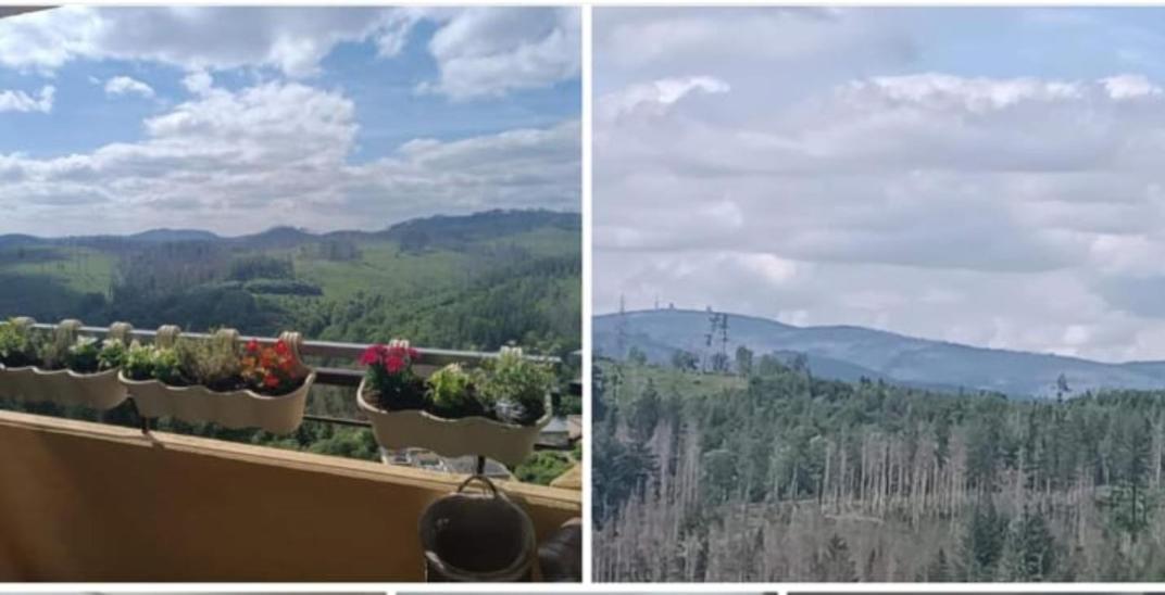 Waldperle Brockenblick Im Panoramic Oberharz * Braunlage