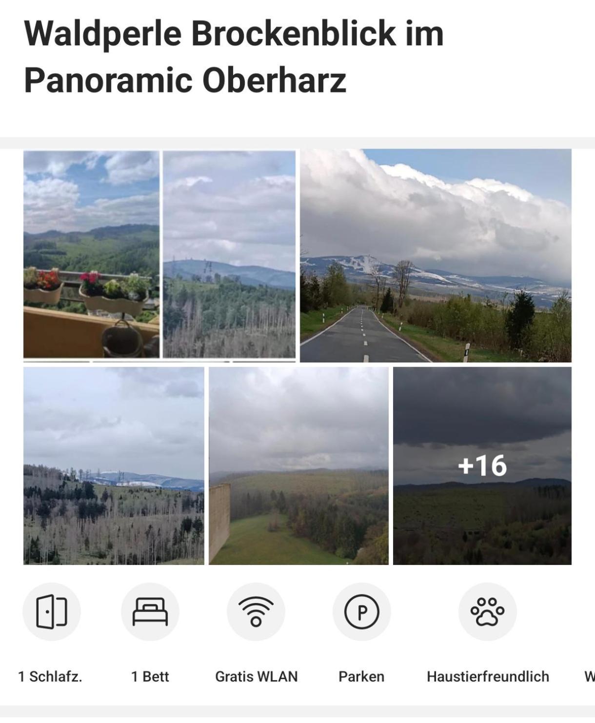 Waldperle Brockenblick Im Panoramic Oberharz Appartement *
