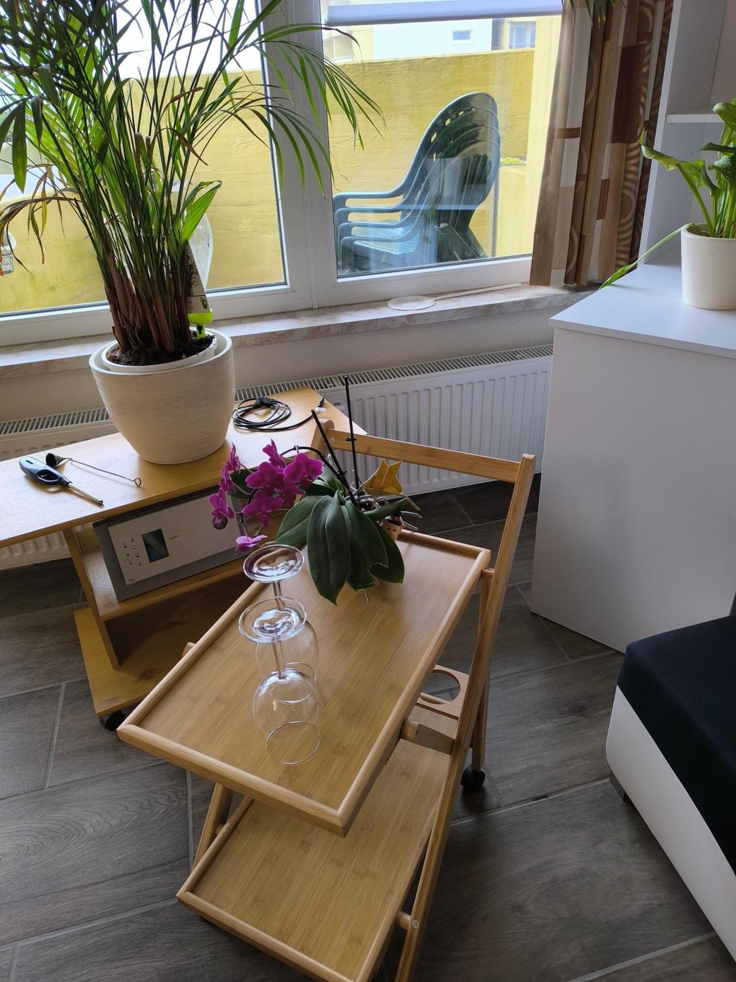 Appartement Waldperle Brockenblick Im Panoramic Oberharz *
